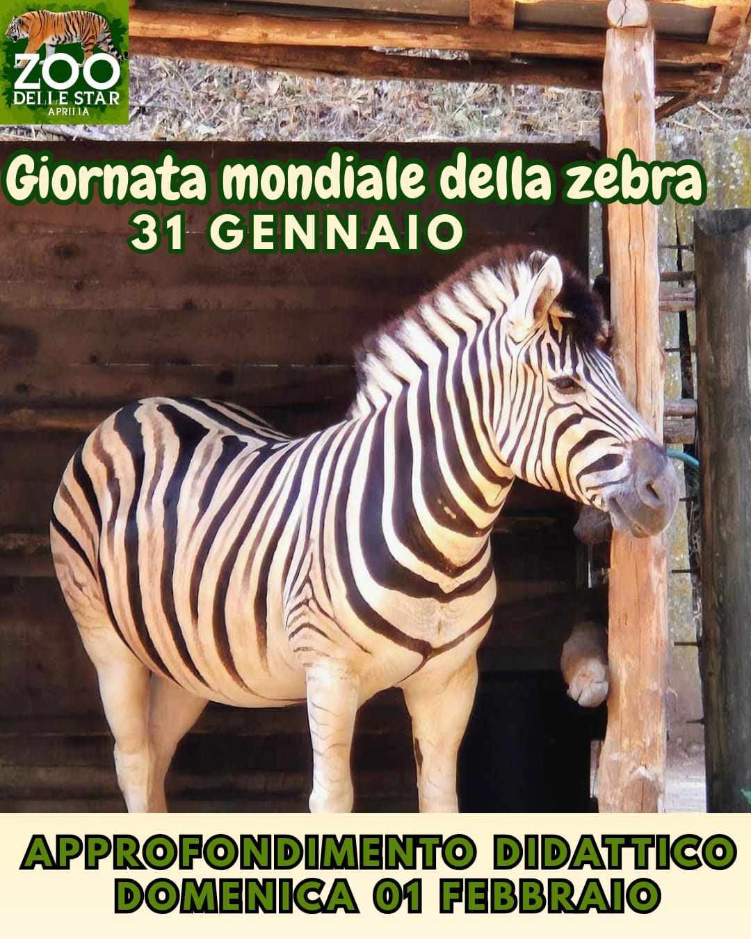 @Parco Zoo delle Star