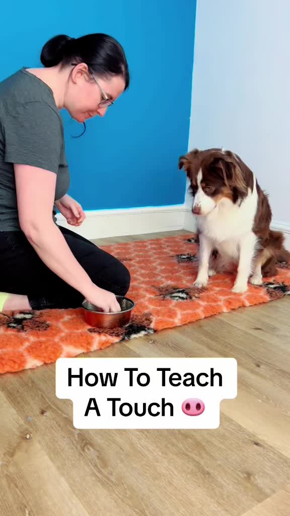 @Train Up Pup