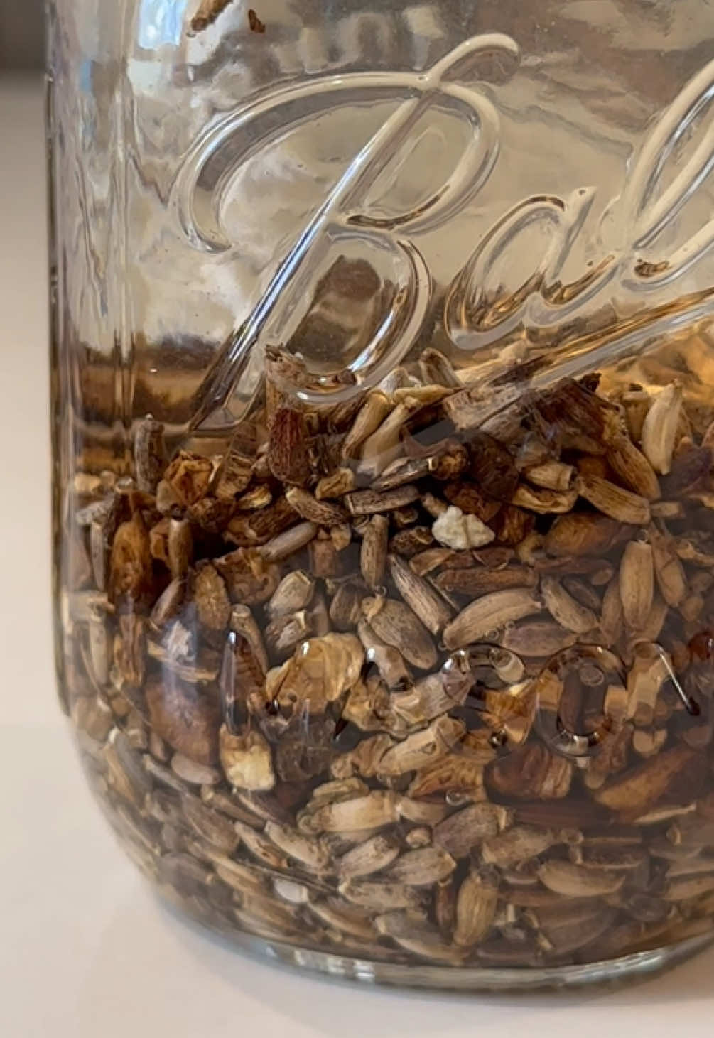 @homesteading herbalist