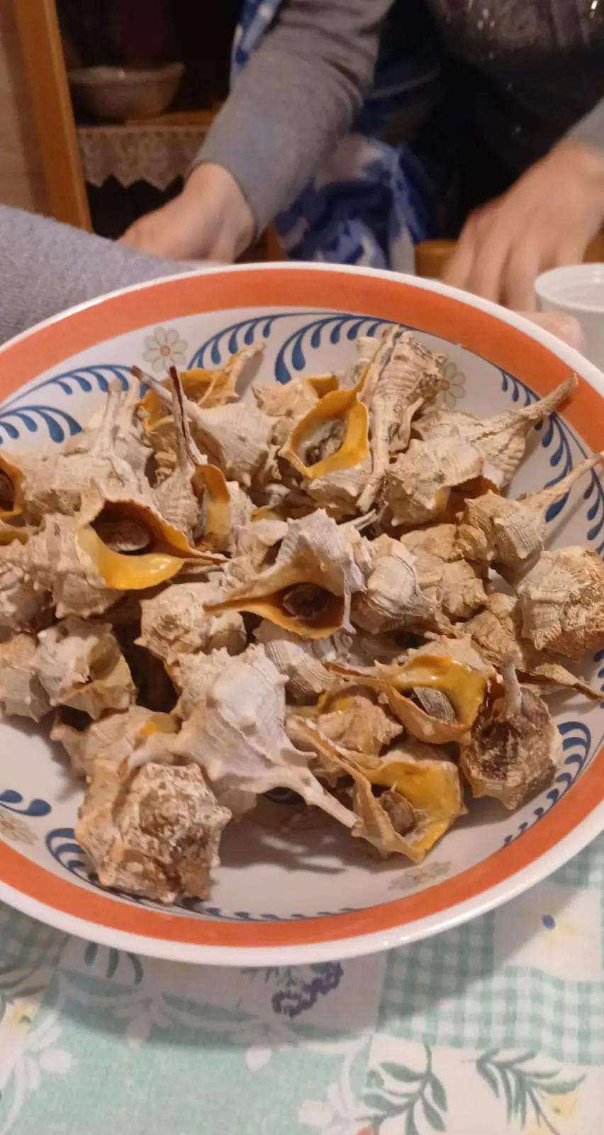 @luigifasciano780