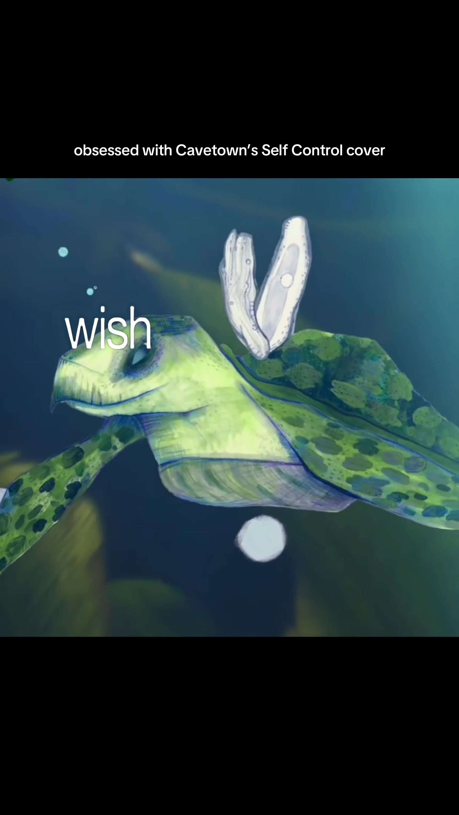@robinishomee