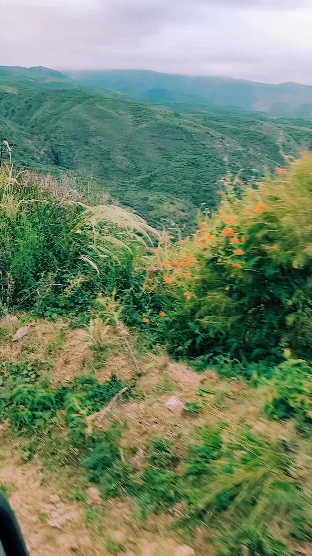 @Lunacar