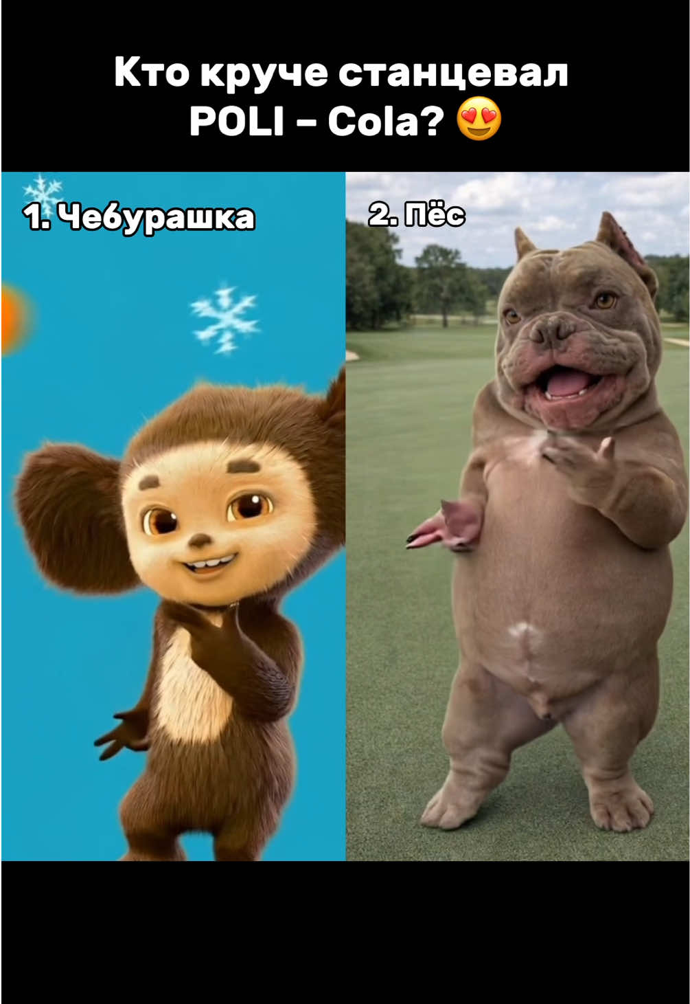 @poli.dubkova.fan