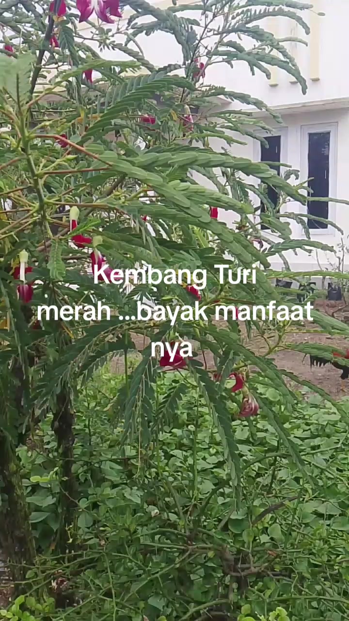 @suswatisusi01