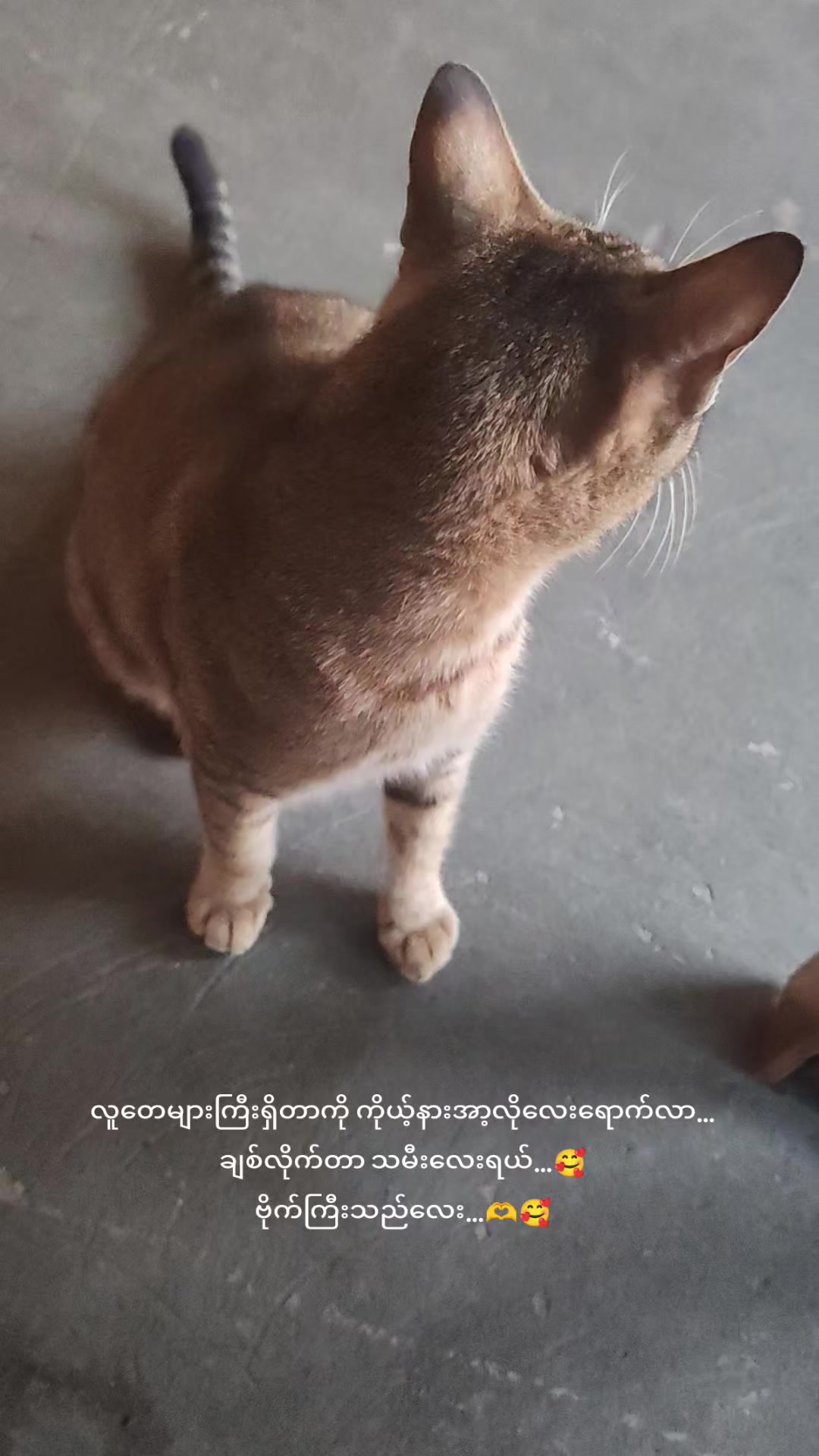 @Thida Htun