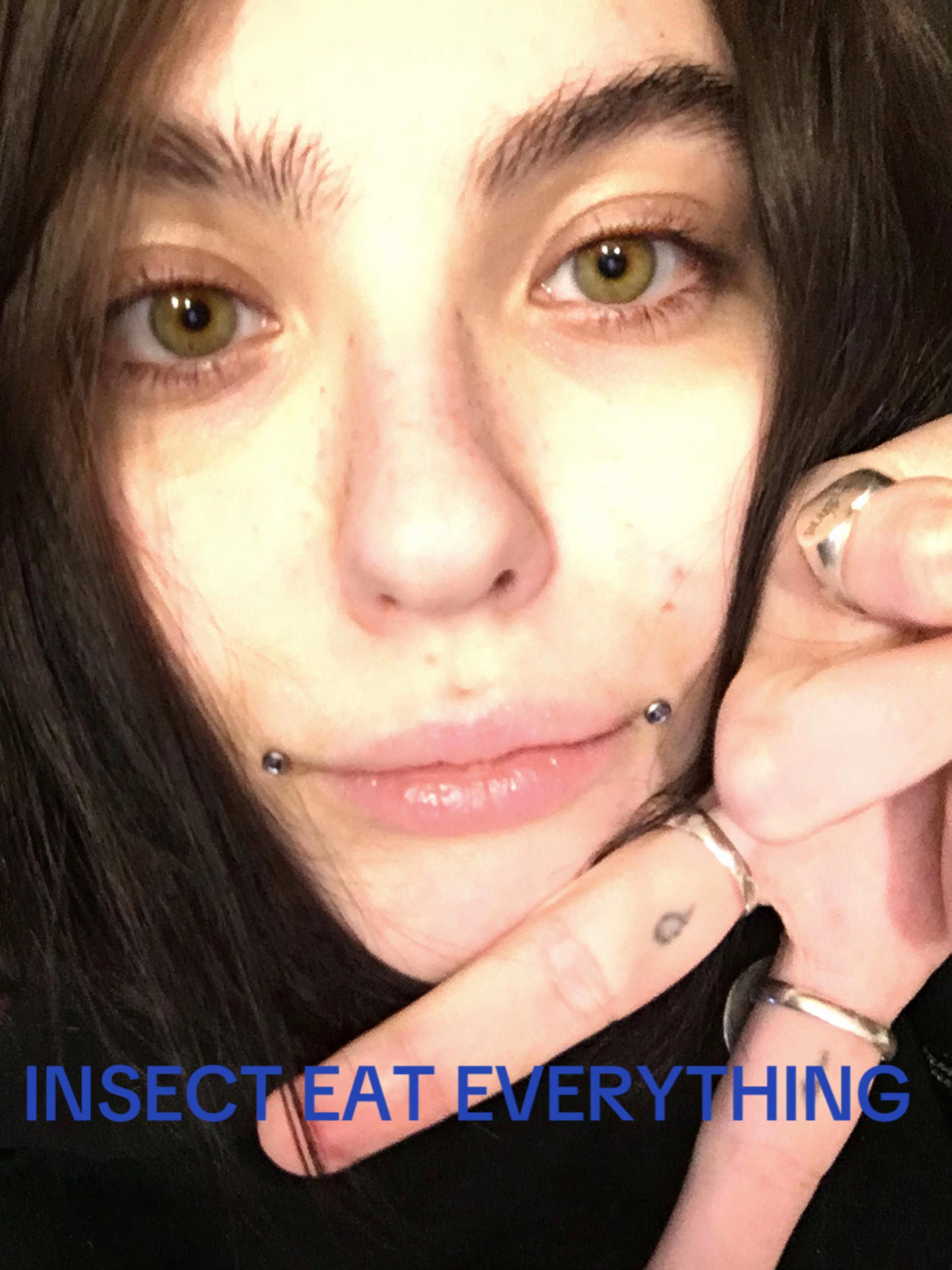 @insect.god