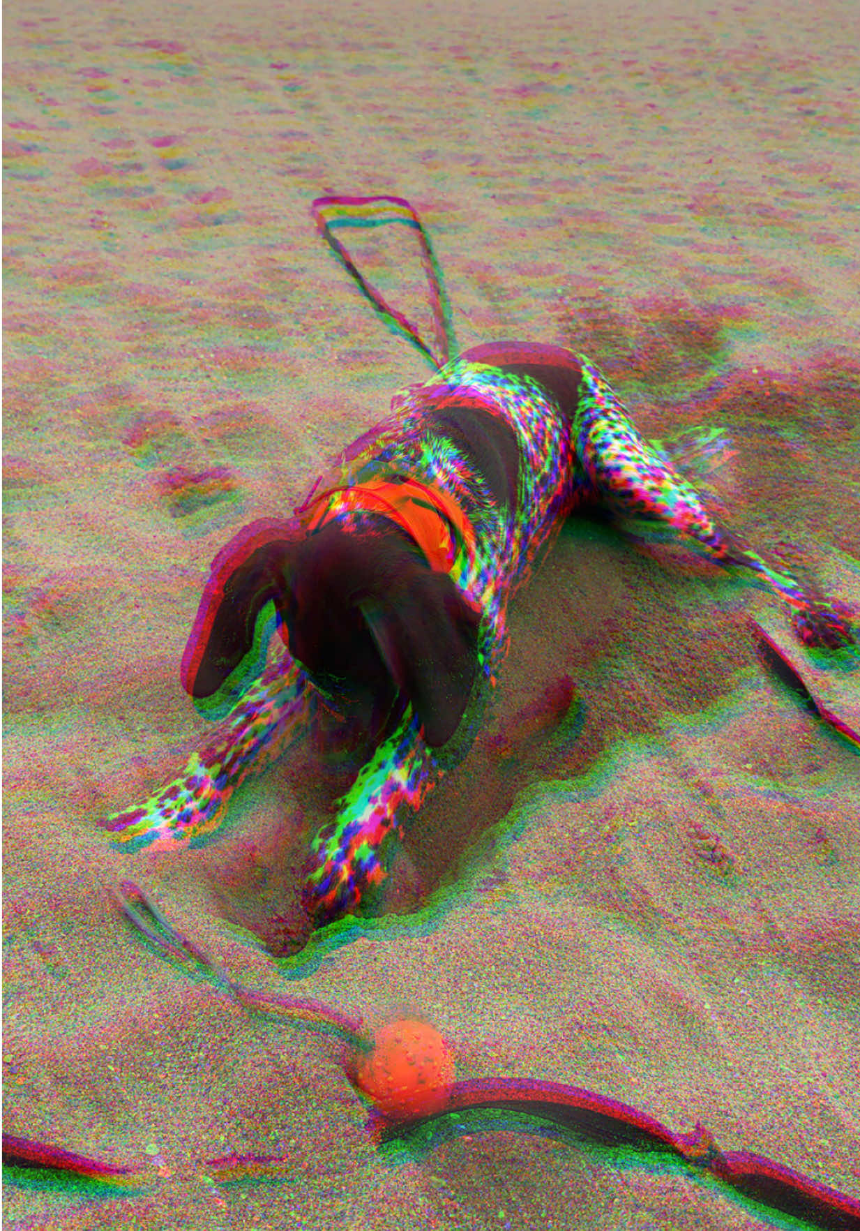 @⋆ 𝐌𝐚𝐛𝐞𝐥 ⋆