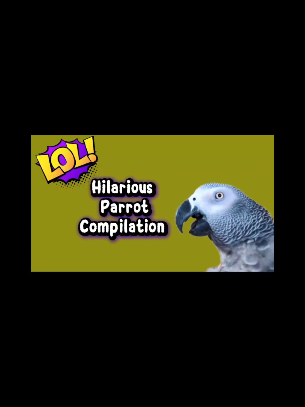 @Cosmothefunnyparrot