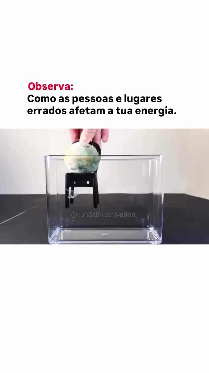 @Caminho Zen