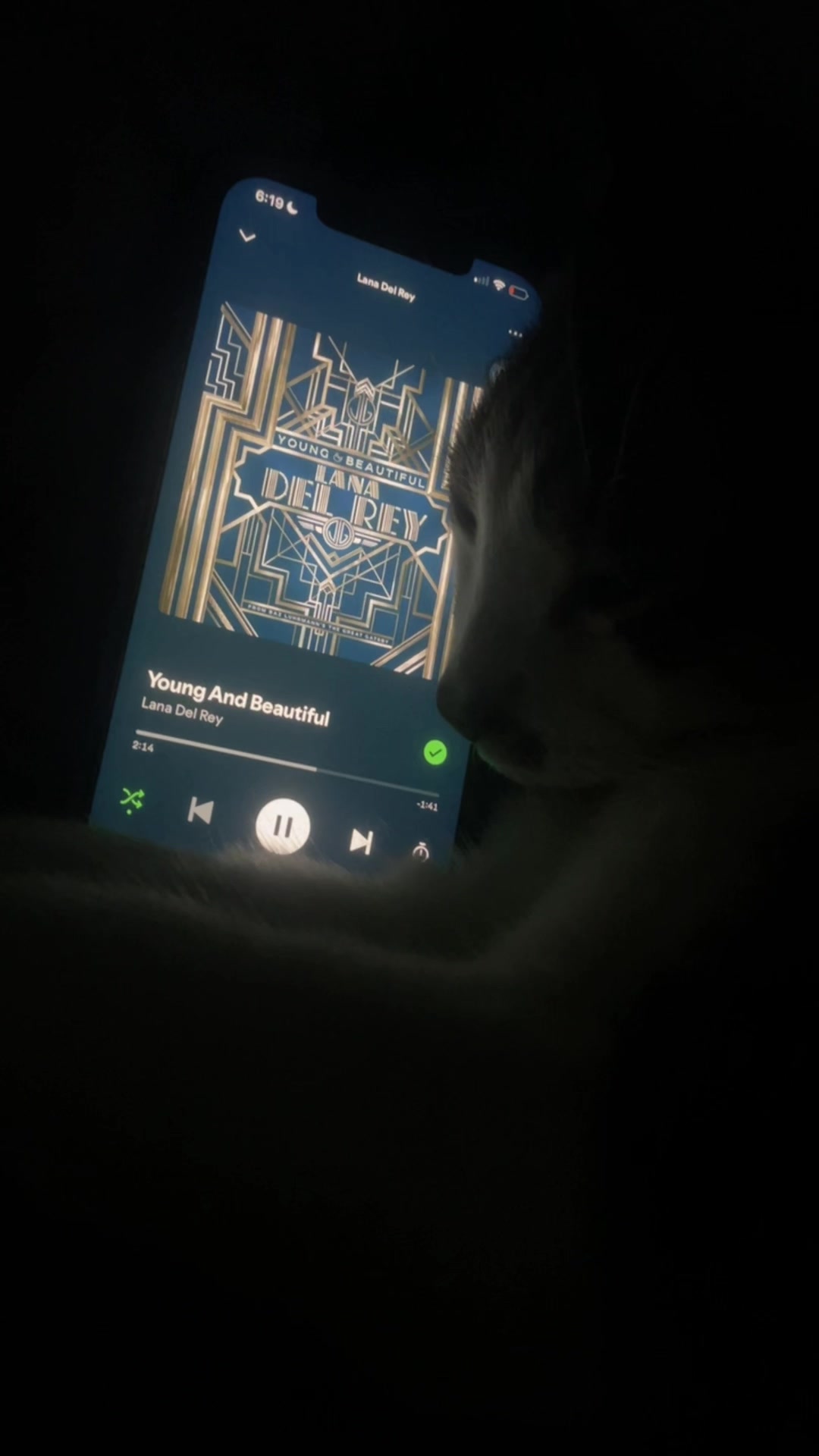 @sleepycatwithmusic