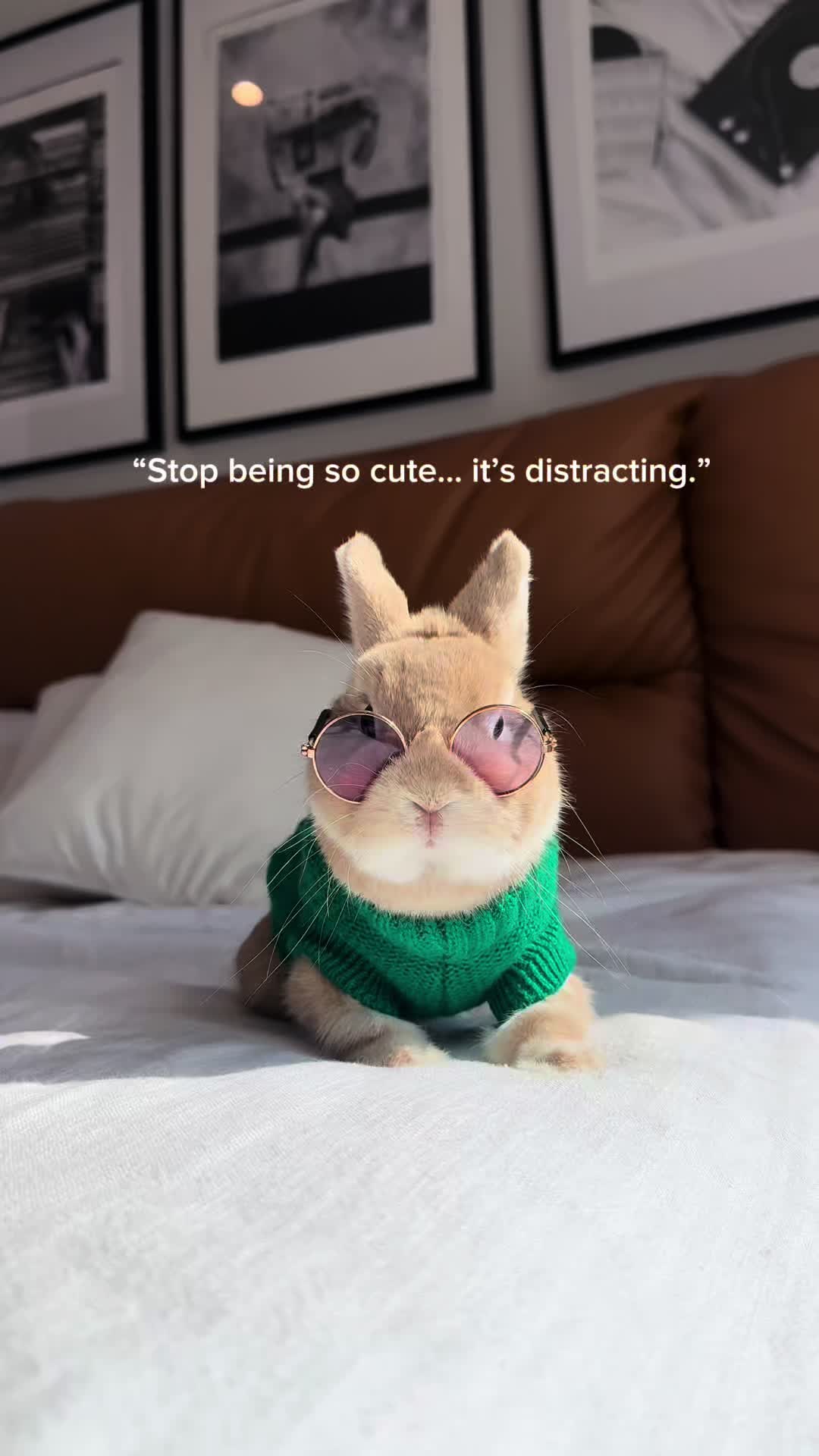 @Bunnydayoff