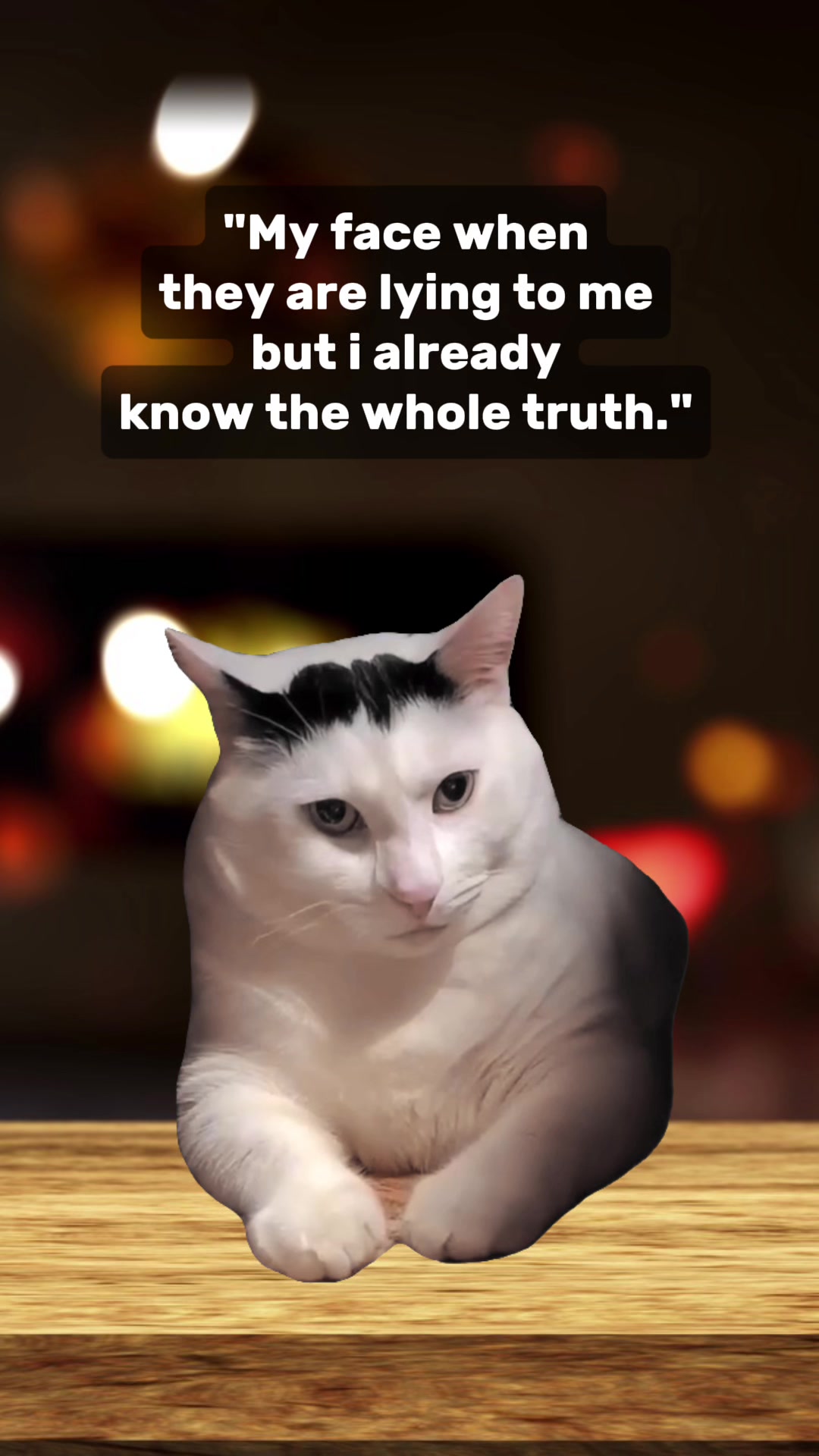 @Meow Town