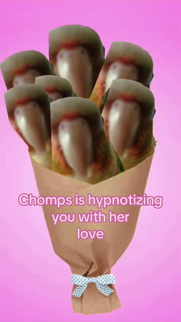 @Chomps