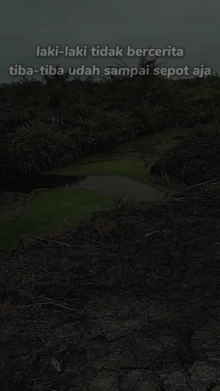 @n&alpha;n_d&alpha;✶