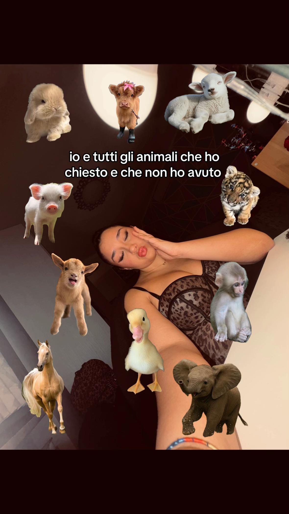 @⭐️