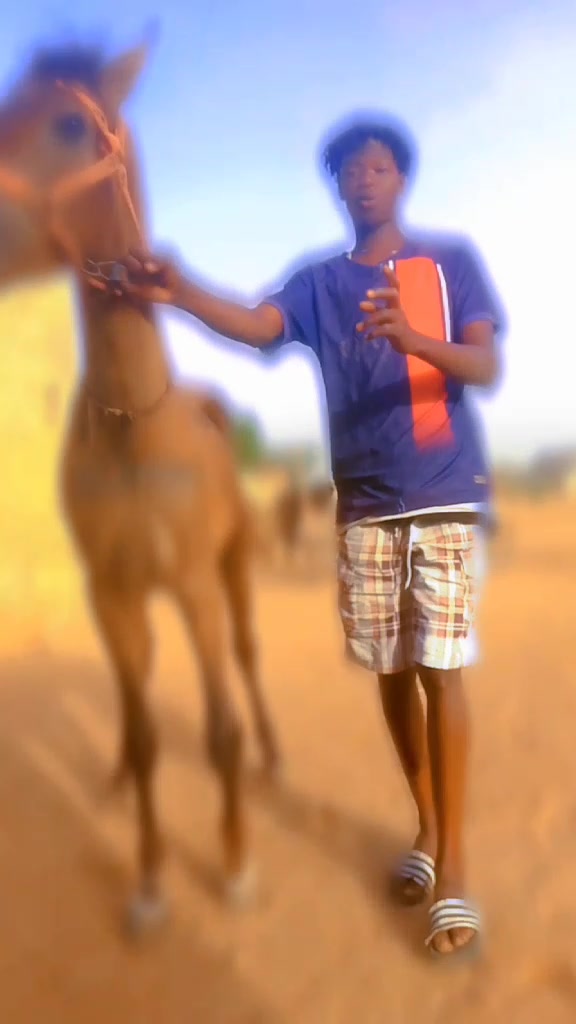 @apdou