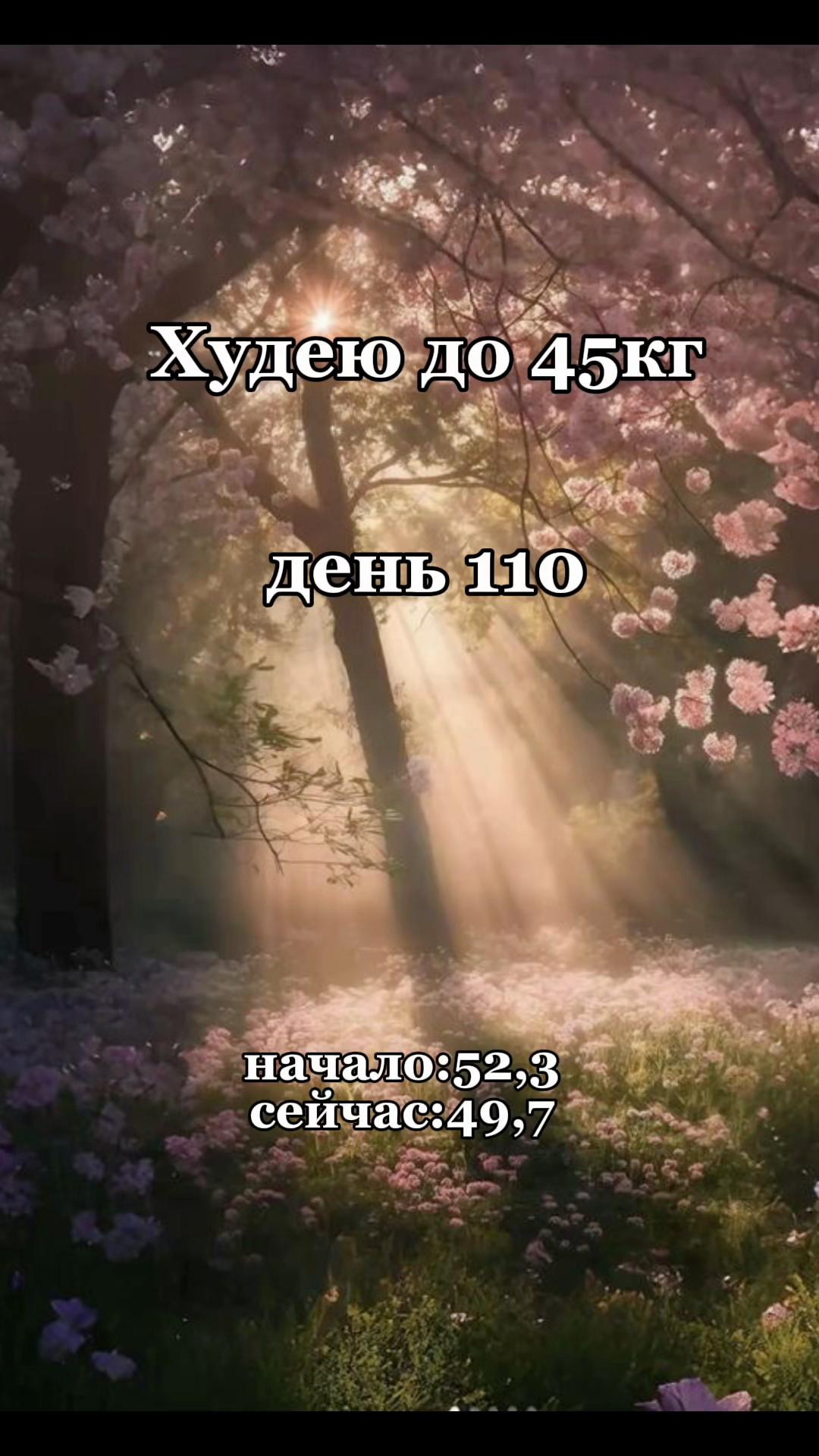 @вечно худеющая🌷