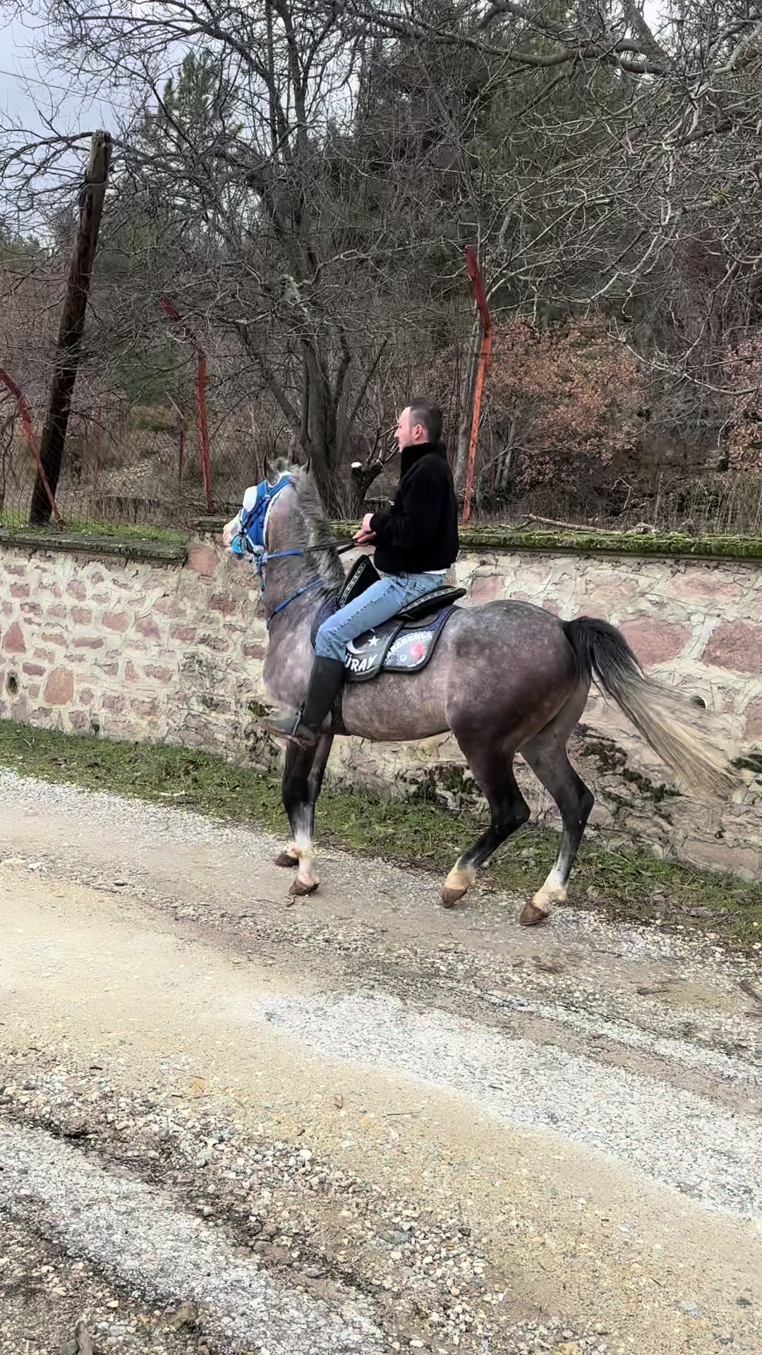@Güray Çay