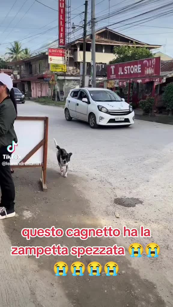 @Francesco Fotia
