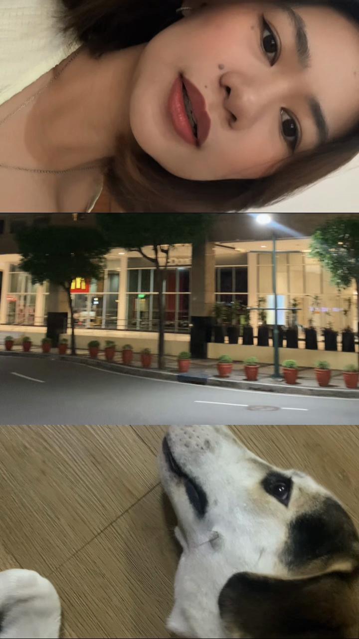 @Nikay✨