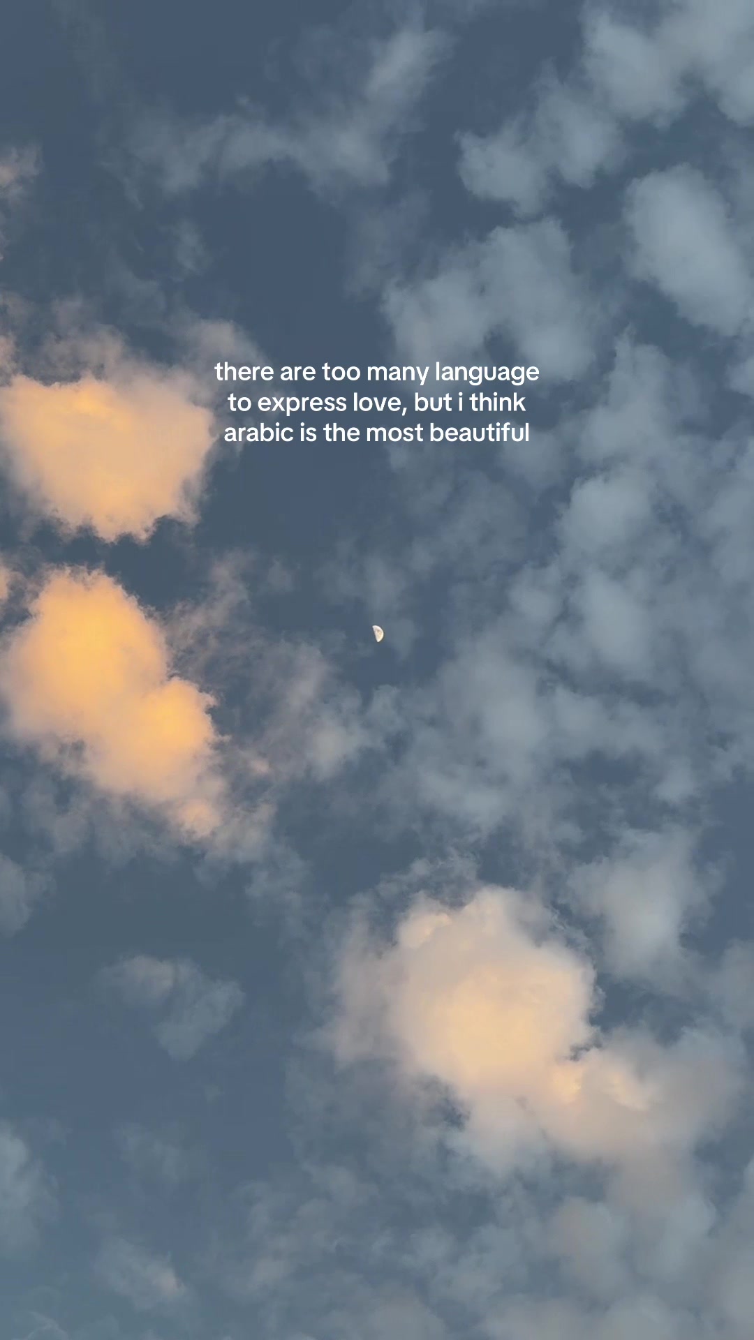 @Dima🦋