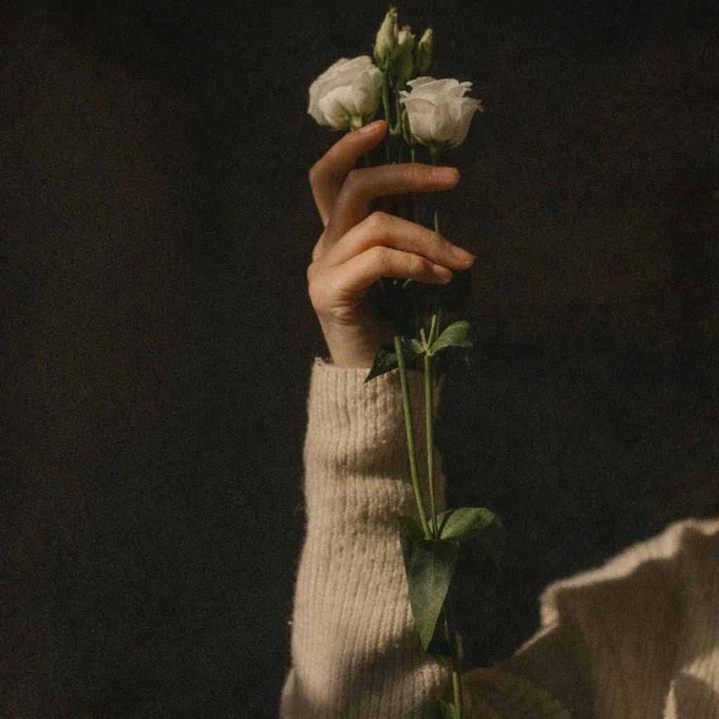 @ꜰᴀʙ📷