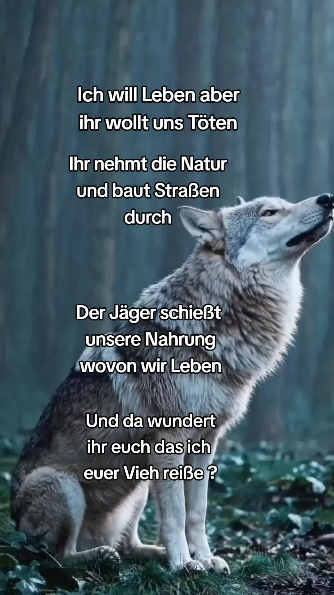 @sch&uuml;tzt-den-wolf 🇦🇹