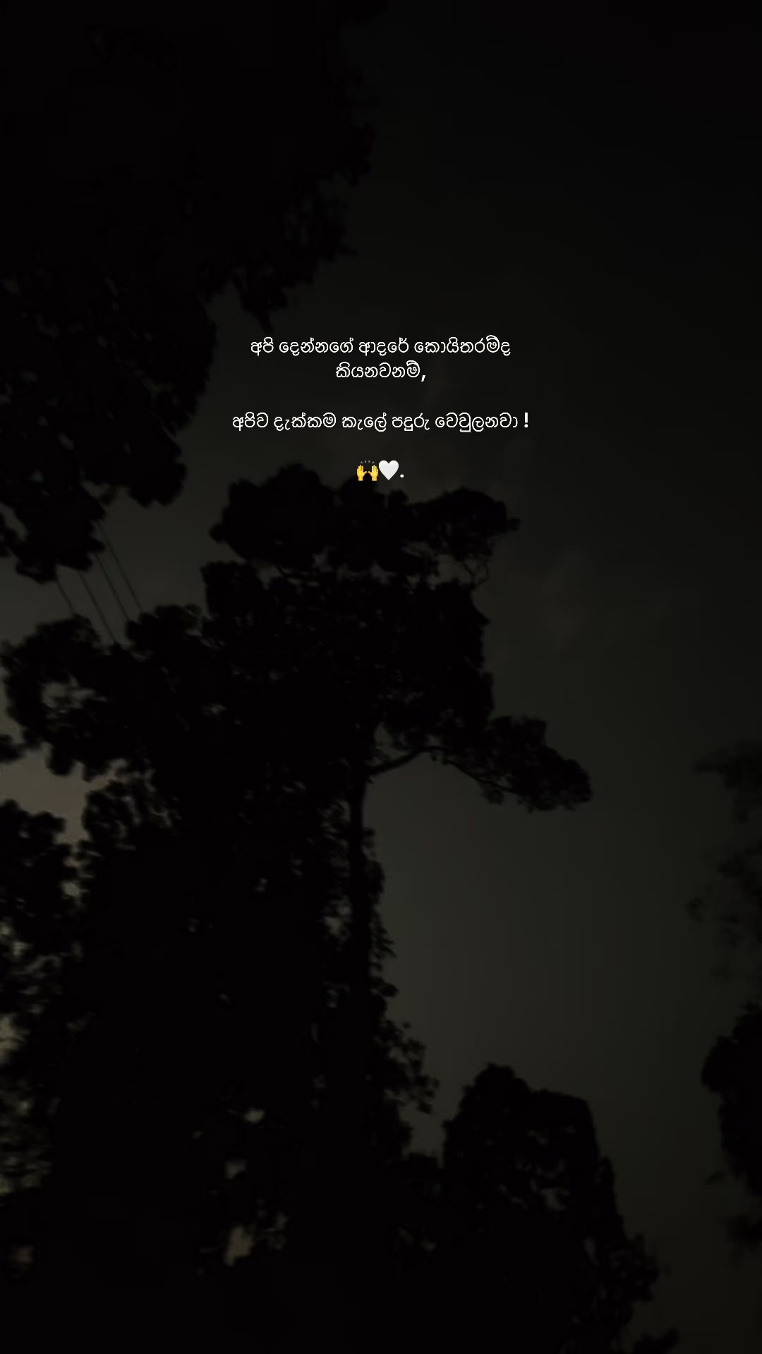 @08:28🔮ᥫ᭡