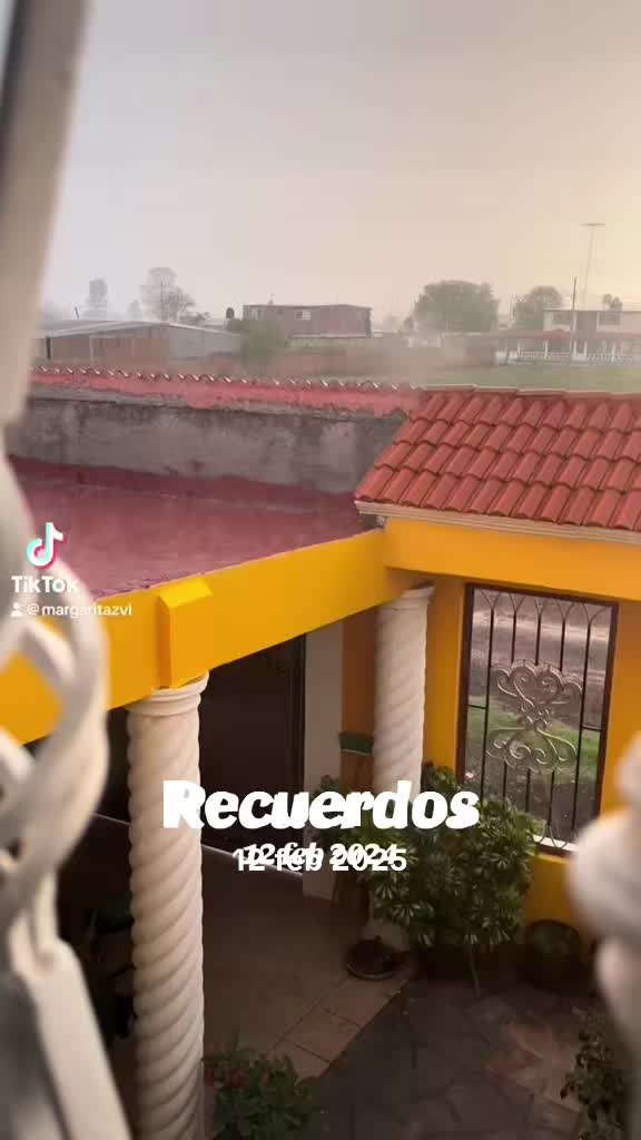 @MalQuerida67387#5