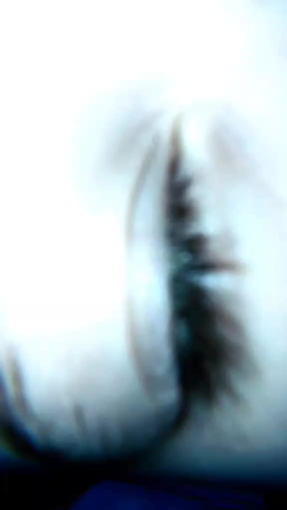 @ᴅʀᴏᴘɪ_𝚂𝙸𝙽𝙺