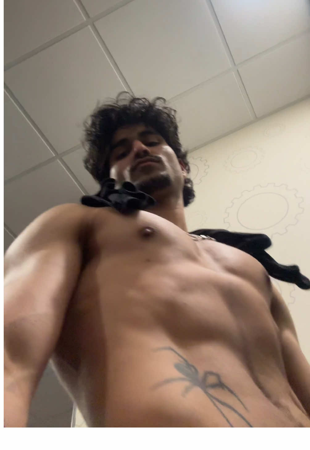 @bashfulsam