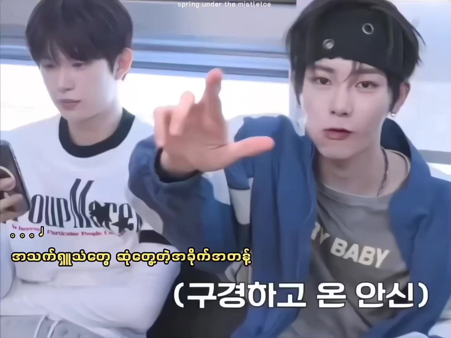 @안냥이주인거누