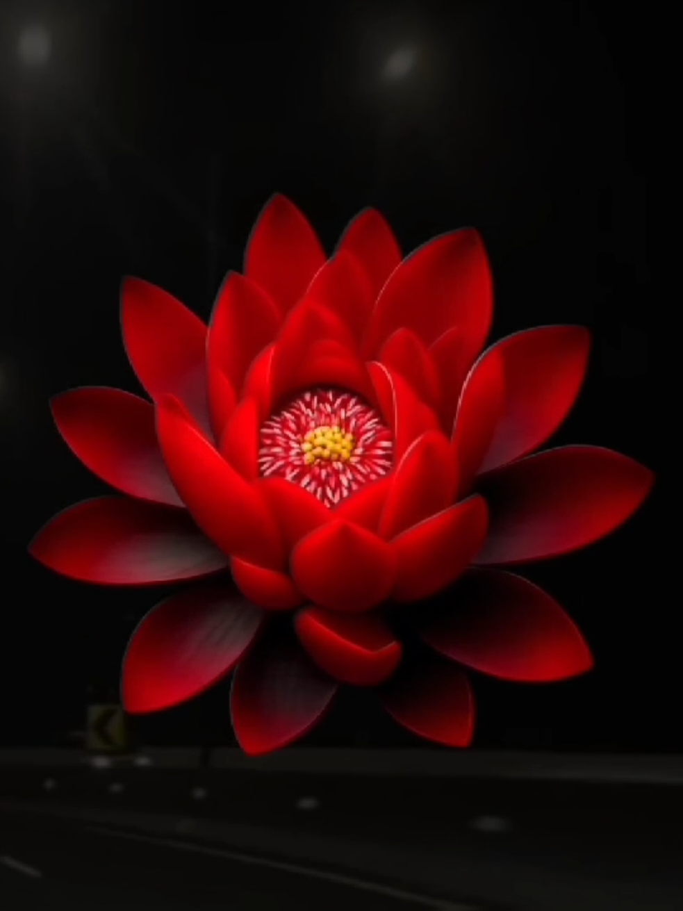 @𝐗𝐕𝐈 𝐀.𝐂