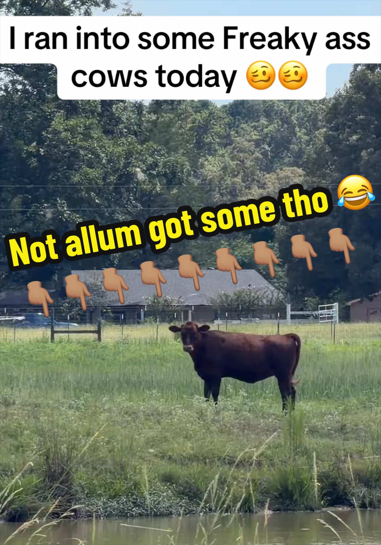 @bossdvincii