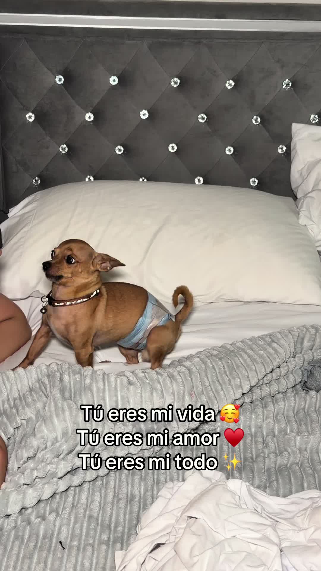 @Gloria Hernandez