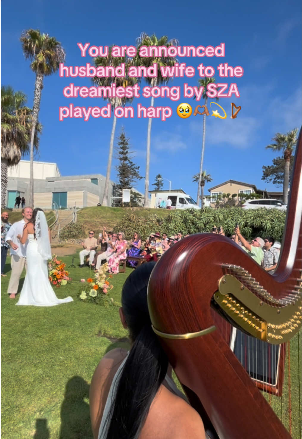 @betaniarodriguezharp