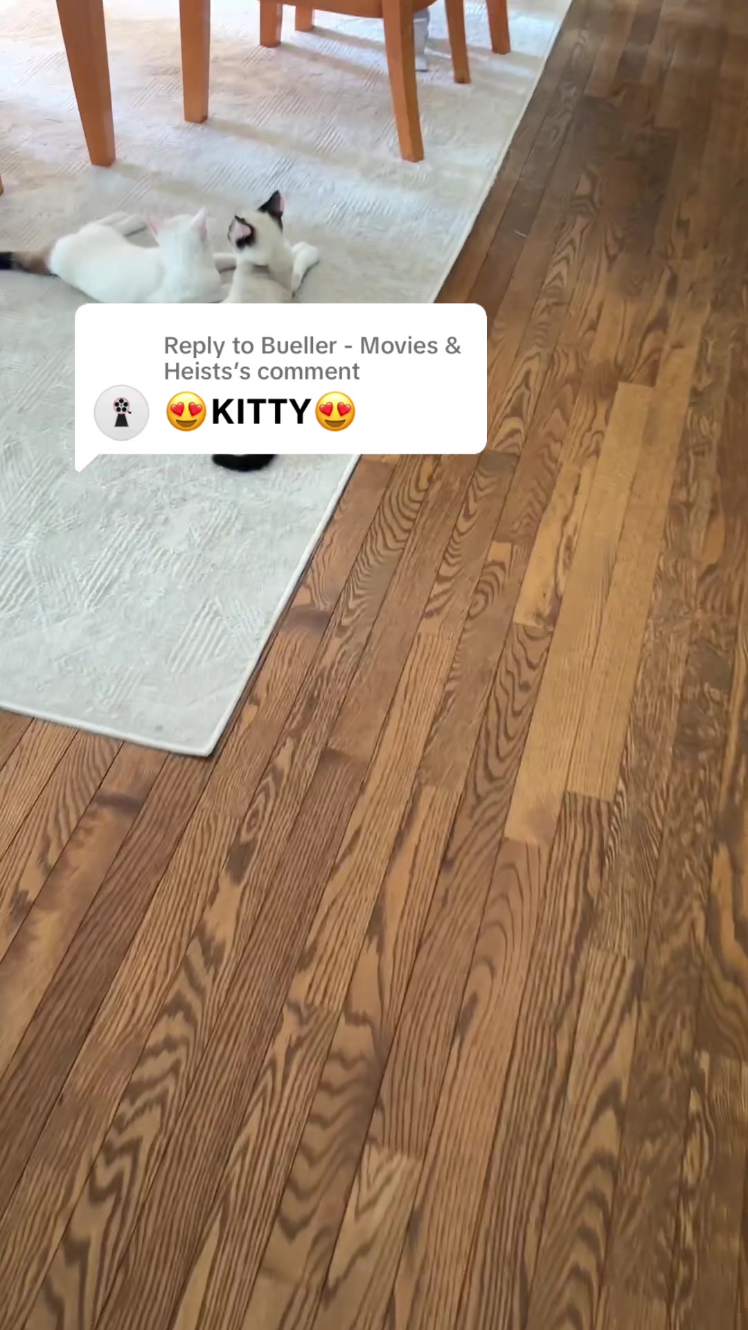 @snaptocks (also on yt)
