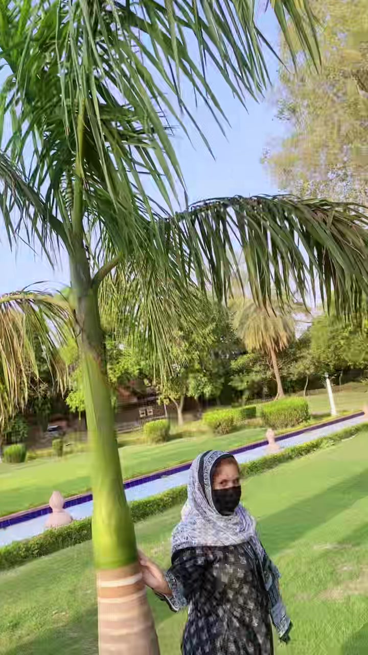 @Shehzadi Butt