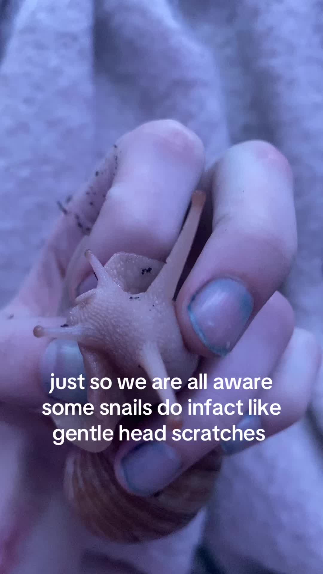 @🌸🦄🪻