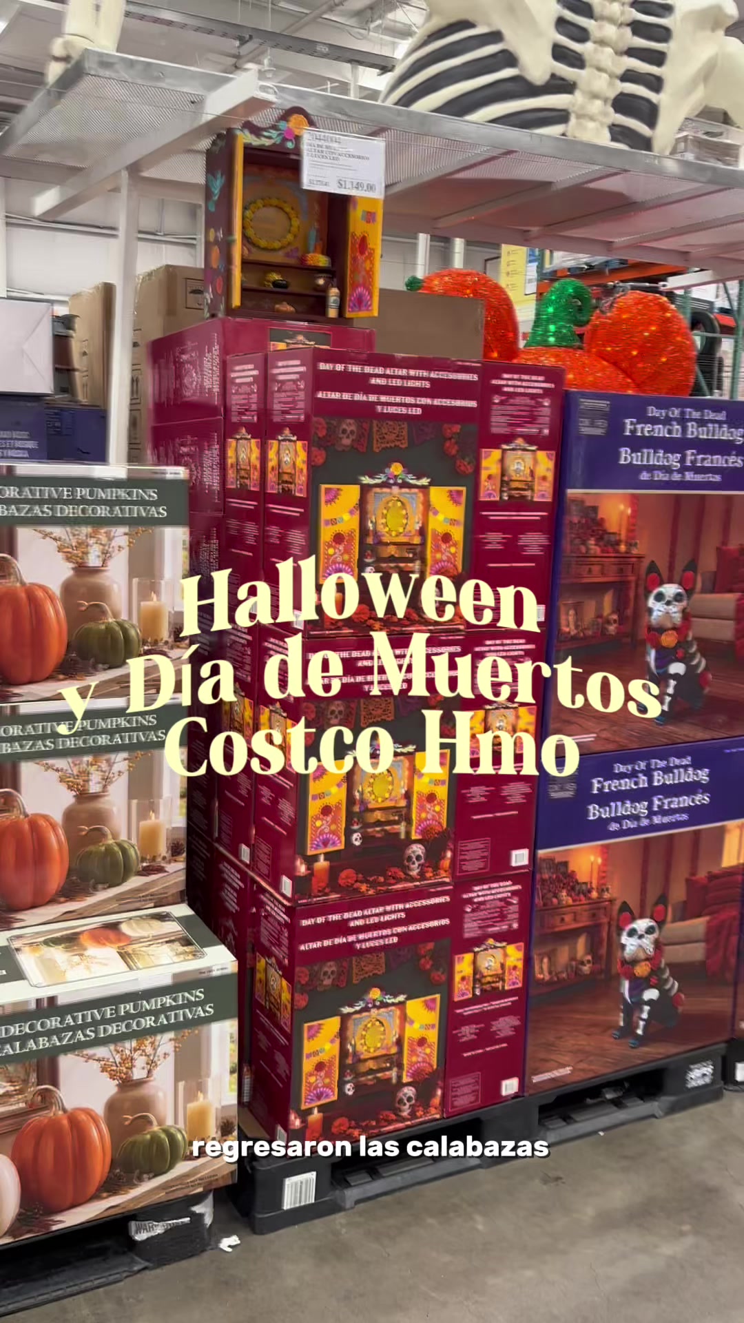 @Mam&aacute;LuegoExisto