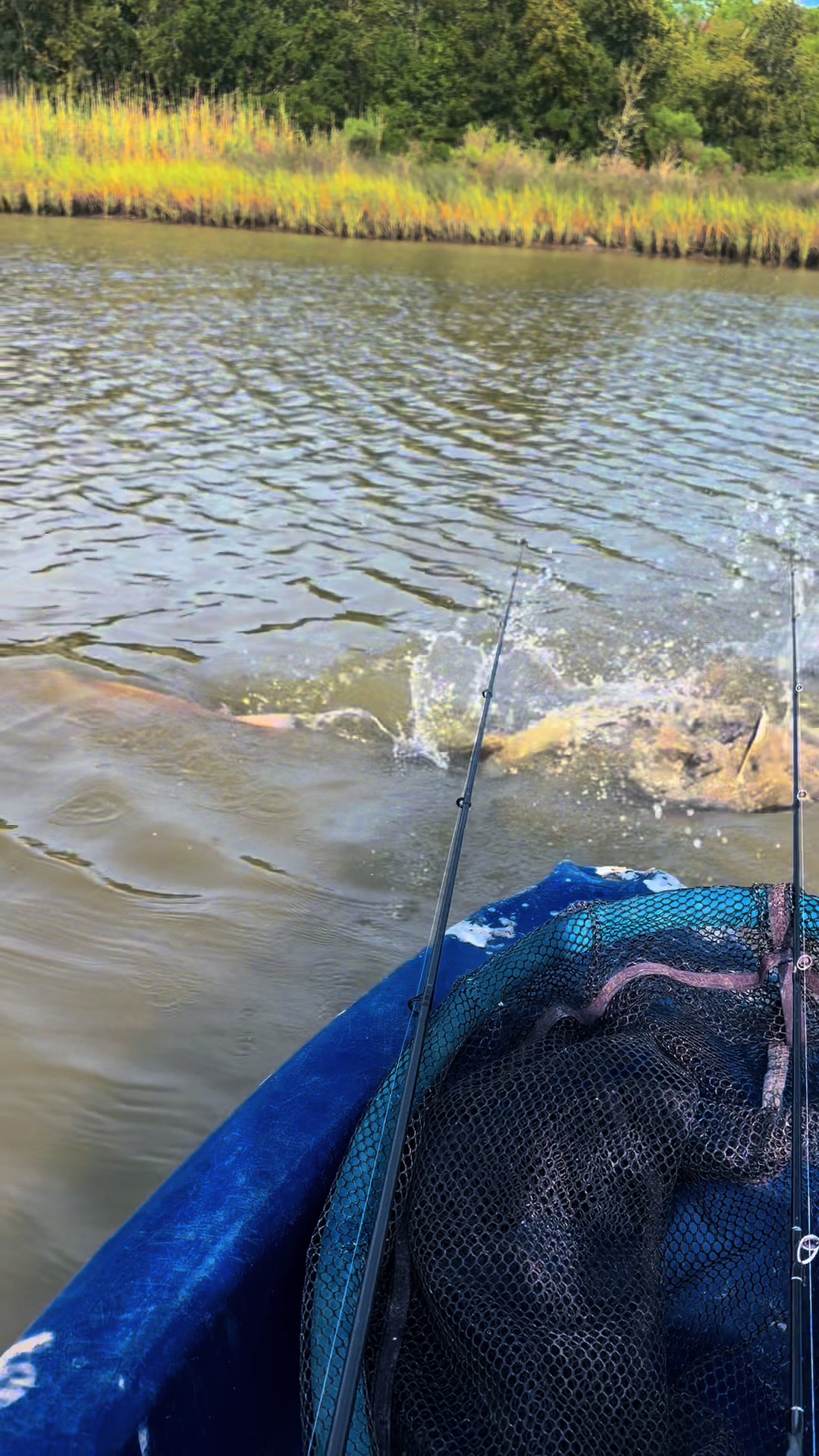 @LOW_BUDGET_FISHING