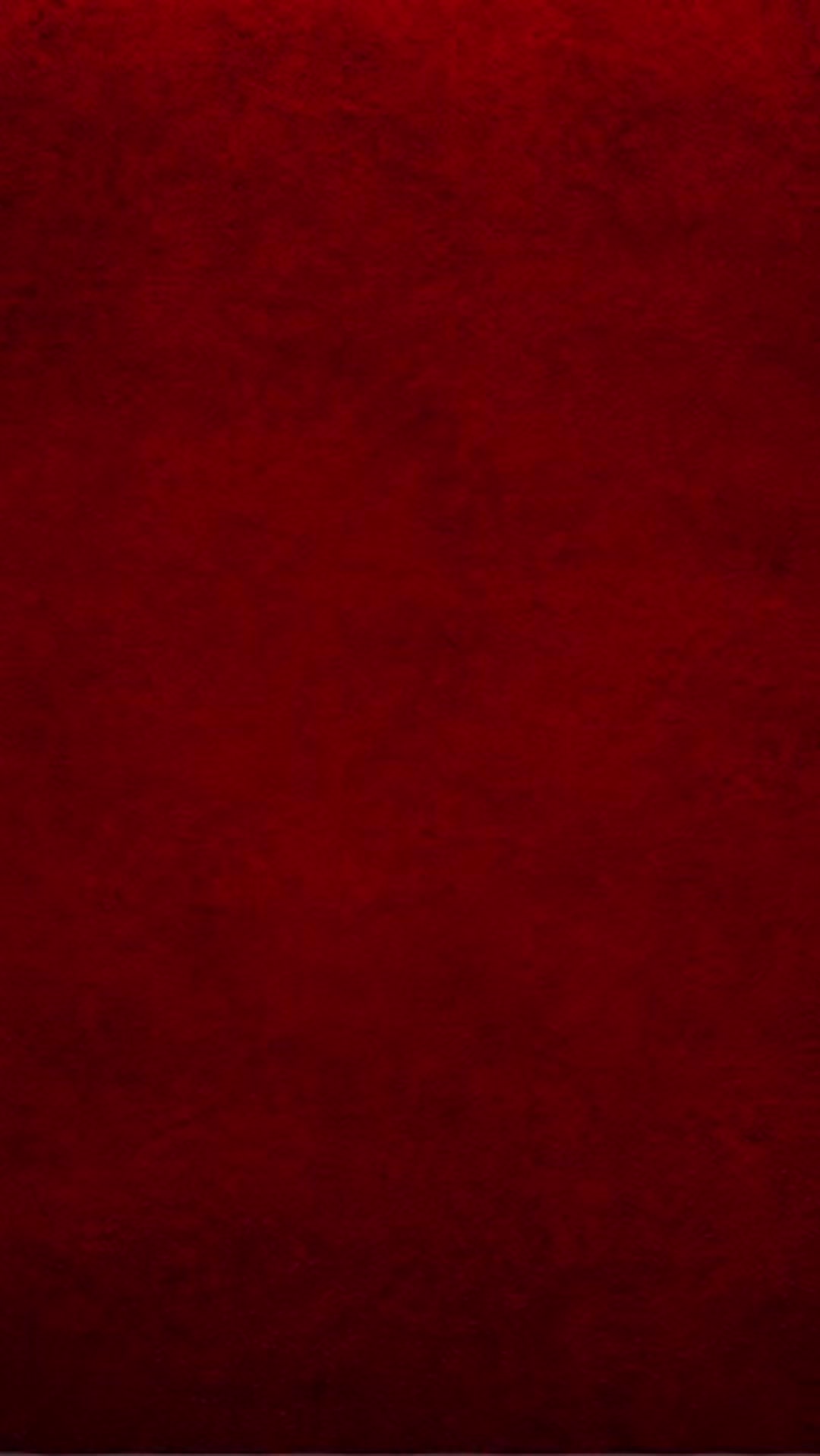 @gilmara_is