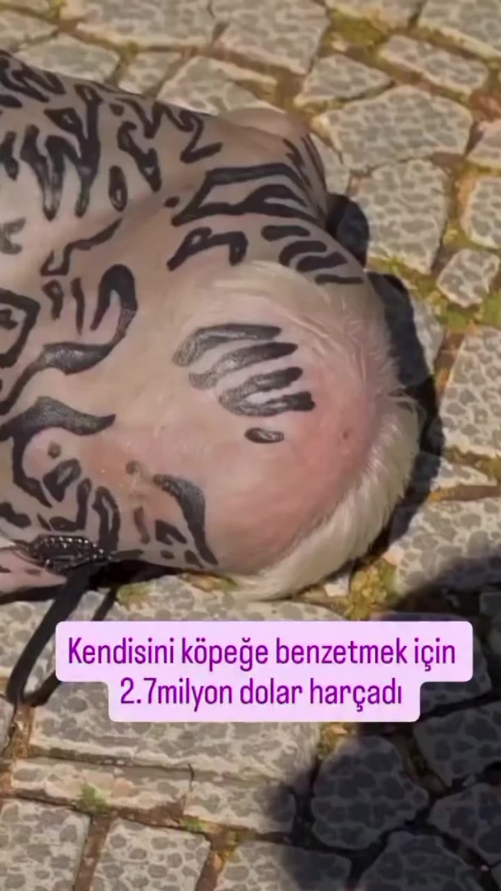 @✓kozmikansiklopedisi