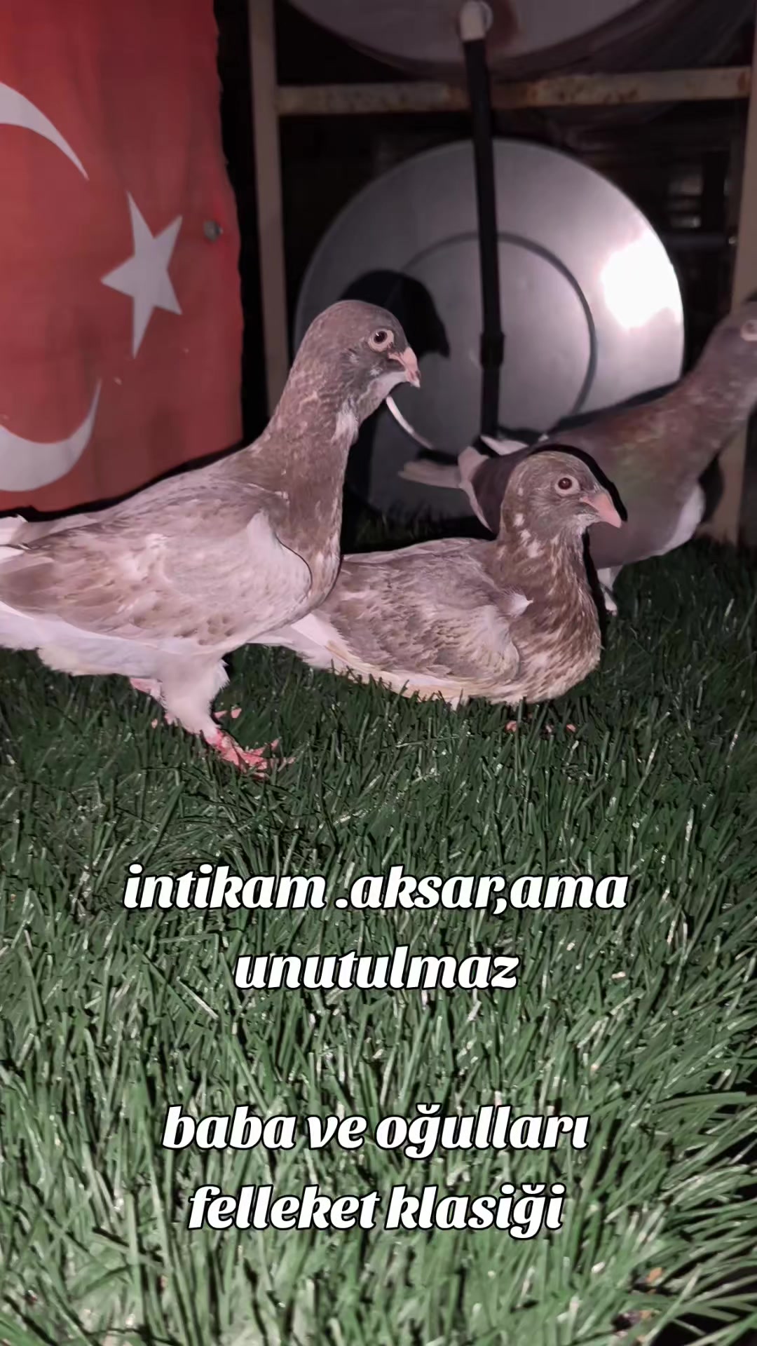 @0163Adanabatarkusu_federasyonu