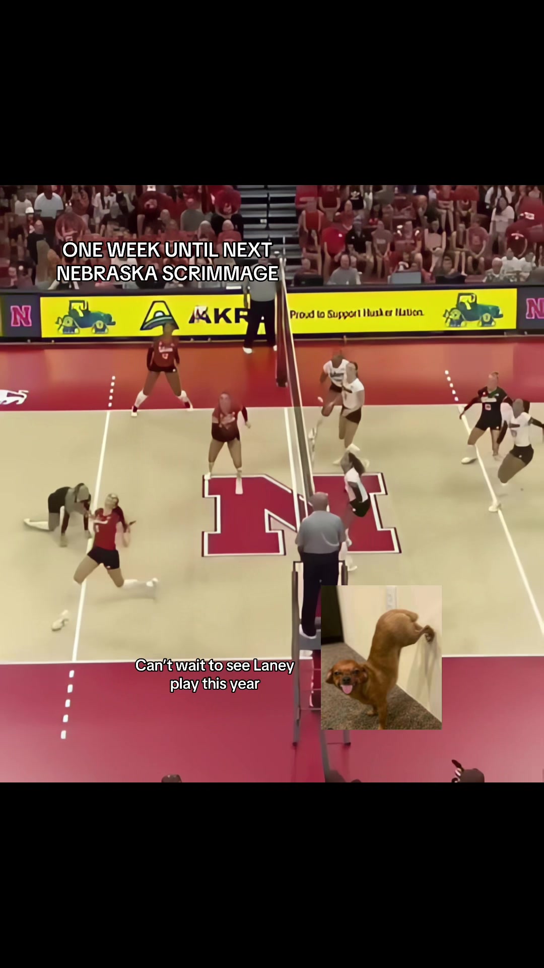 @Women&rsquo;s Volleyball