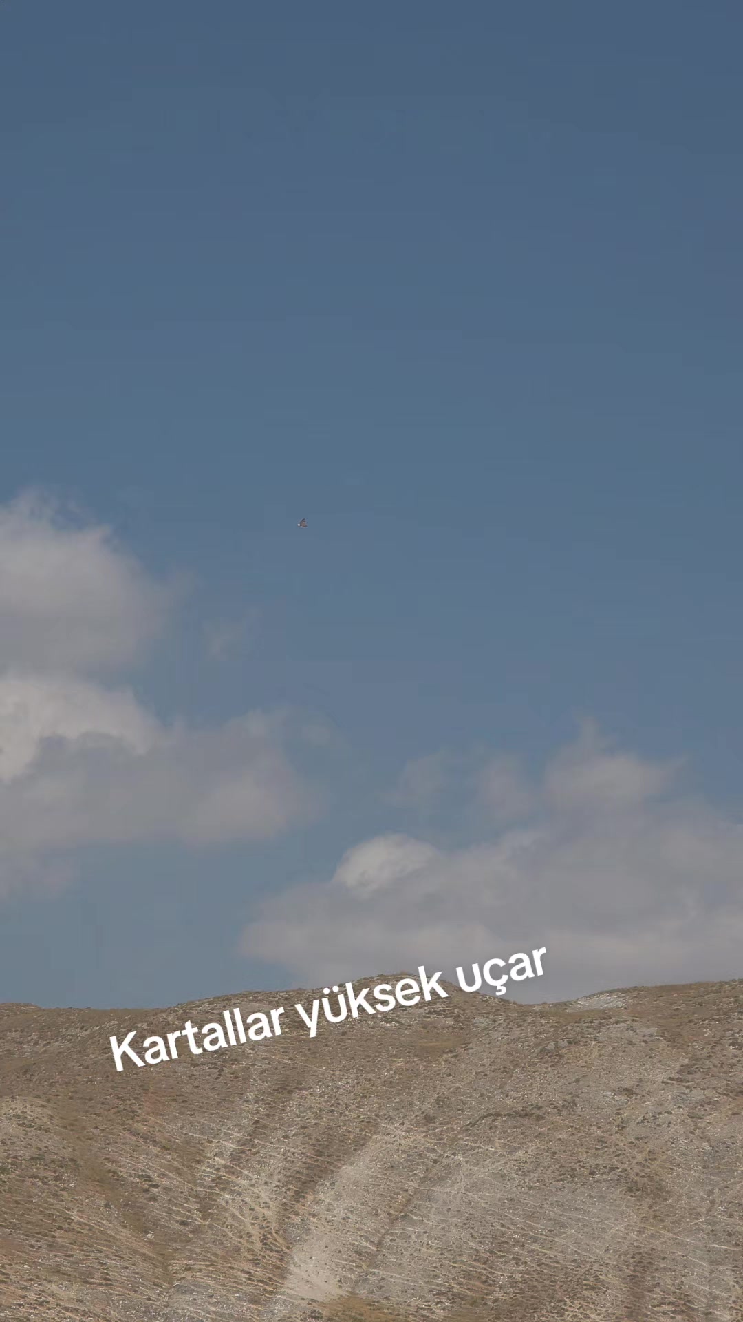 @Tanju şimşek