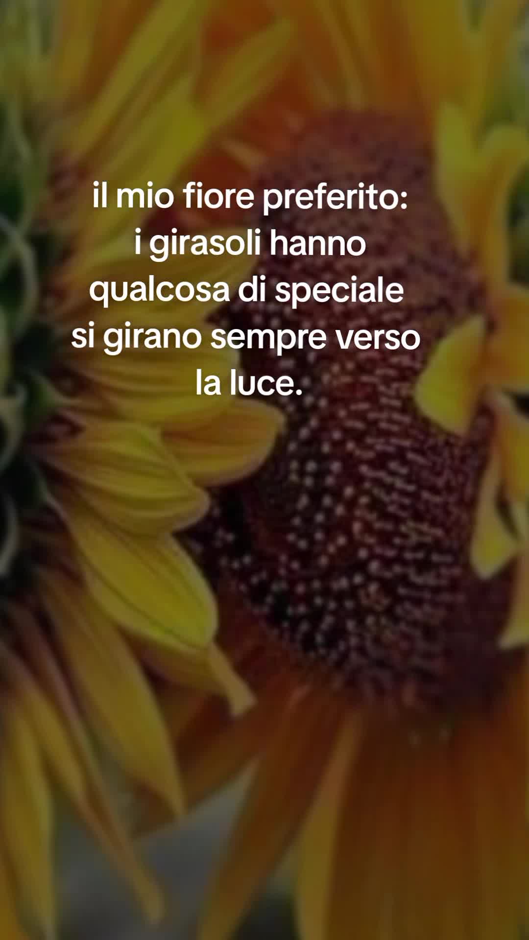 @Lorella.coltro