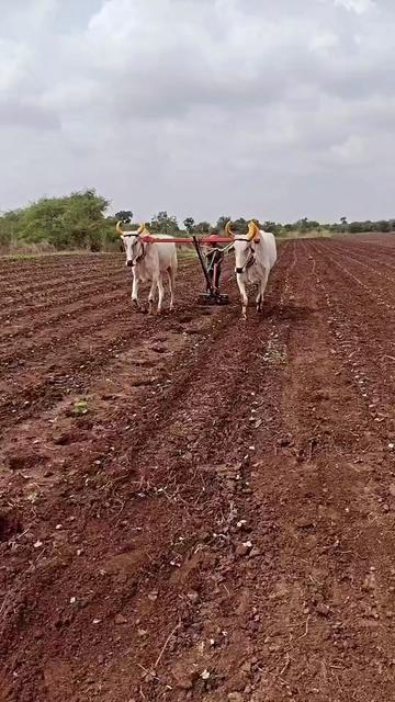 @مرشد  باغ   AJKB