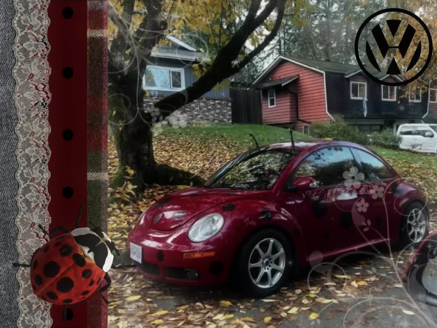 @🐞