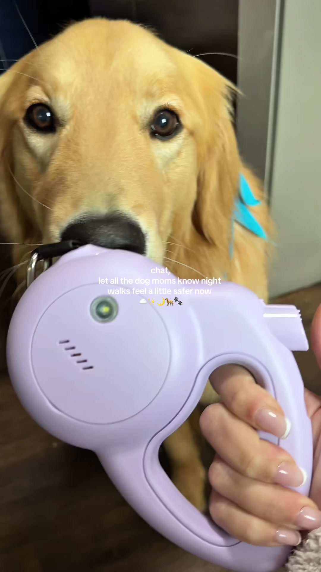 @Josi B🦮